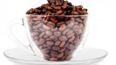 Hazelnut Coffee (Gramaj: 1 kg)