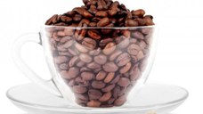 Hazelnut Coffee (Gramaj: 200g)