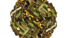 Ice Tea Citrus & Ginger (Gramaj: 100g)