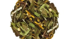 Ice Tea Citrus & Ginger (Gramaj: 200g)