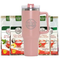 Iced Infusion Summer Kit ( 4 Ceaiuri Fructe + ThermoTea Roz ) - 1
