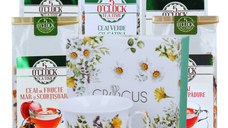 Immunity Boost Kit (3 ceaiuri de fructe + 1 ceai verde + 1 rooibos + Ceasca cu farfurie portelan, 250ml, Daisy)