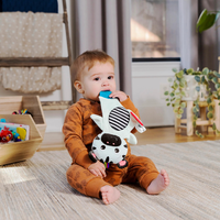 Bright Starts - Jucarie de dentitie din plus pentru bebelusi Zebra Zen - 3
