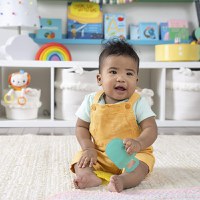 Bright Starts - Jucarie de dentitie Soare si Inghetata pe bat - 6