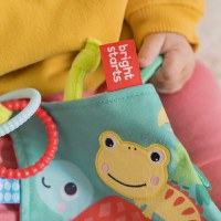 Bright Starts - Jucarie mini paturica cu animalute vesele - 3