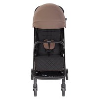Carucior Graco Myavo Fossil - 3
