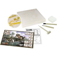 Joc Educativ Buki France Kit de Sapat - Dinozaur - 5