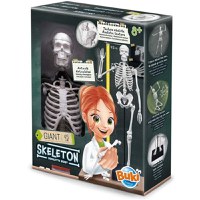 Joc Educativ Buki France Schelet Gigant 45 cm - 1