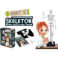 Joc Educativ Buki France Schelet Gigant 45 cm - 2