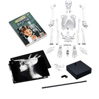 Joc Educativ Buki France Schelet Gigant 45 cm - 3