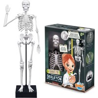 Joc Educativ Buki France Schelet Gigant 45 cm - 4