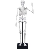Joc Educativ Buki France Schelet Gigant 45 cm - 5