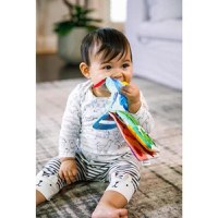 Jucarie Baby Einstein pentru Dentitie in Forma de Carte - 6