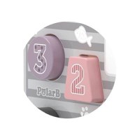 Jucarie de Tras New Classic Toys Sortator Forme Geometrice Camion PolarB - 4