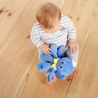 Jucarie Muzicala Baby Einstein din Plus Caracatita - 6