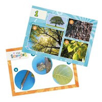 Mini Stiinta - Microscop Buki France - 6