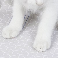 Covoras impermeabil PETKIT Purobot Ultra Cat Litter Mat compatibil cu Litiera Smart Purobot Ultra - 4