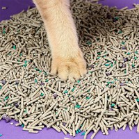 Set 4 cutii nisip litiera mixt, tofu si bentonita PETKIT 5 in 1 Mixed Cat Litter, 3.6 kg/cutie, absorbtie rapida - 4