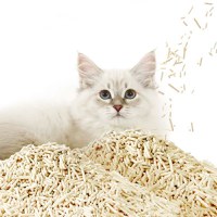 Set 4 cutii nisip mixt tofu litiera PETKIT Occult Blood Test Mixed Cat Litter test integrat de sange ocult, 2.4kg per cutie - 6