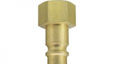 Cupla cu filet interior Ludecke ES14NI1 4,  , 1 4  , O6 mm