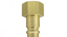 Cupla rapida cu stut si filet interior Ludecke ES38NI, 3 8  , O9 mm