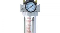 Filtru - Regulator Troy 18612, 1 2  , 0-8 bari