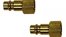 Set racorduri aer comprimat cu filet interior IG SB Gude 41027, 3 8  , O16 mm, 2 bucati