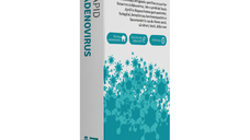 Barza Self Care Test rapid pentru Rotavirus si Adenovirus, 1 bucata