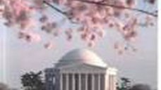 Top 10 Washington DC - Ghiduri turistice vizuale