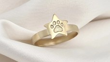 Inel Stea și Lăbuță – Legătura dintre Cer și Pământ - Argint 925 placat cu Aur Galben 18K