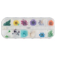 Flori naturale set 12 Way Out - 1