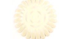 Margareta exersat #24