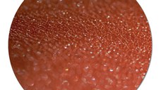 Pigment make-up Moon&Stars - Milky Way