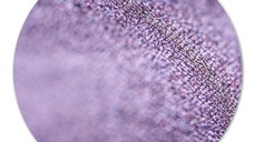 Pigment make-up Violet Red