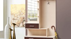 Cuier Amin Wenge Kiruna 100x40x215 cm