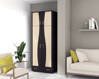 Dulap 2Usi S Despartitor, 198x90x50 cm Wenge+Mesteacan - 1