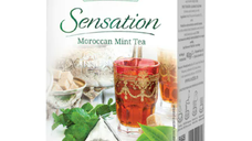 Ceai de menta Moroccan Selection, 20 plicuri, Evolet