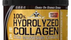Colagen Hidrolizat cu Fructe de Padure, 300g - Vitabolic