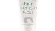 Sampon bio reparator cu mirt si ginkgo biloba, 200ml, Eco Cosmetics