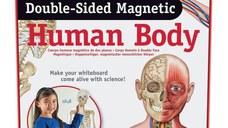 Corpul uman - set magnetic