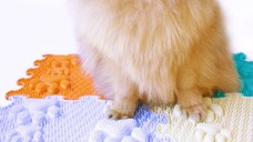 Covoras ortopedic, senzorial, set puzzle, 8 piese, model Lucky Paws, textura rigida, Multicolor