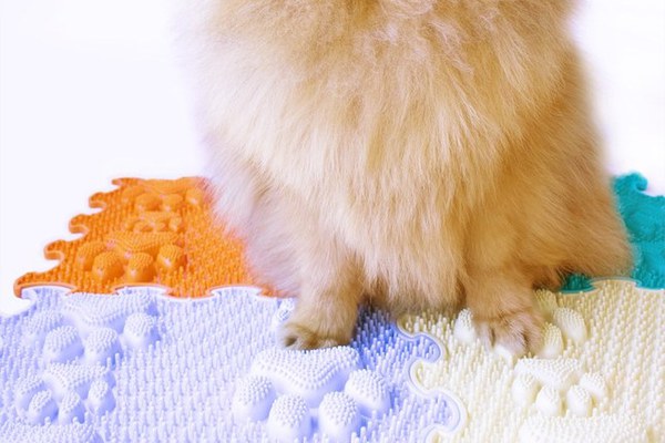 Covoras ortopedic, senzorial, set puzzle, 8 piese, model Lucky Paws, textura rigida, Multicolor
