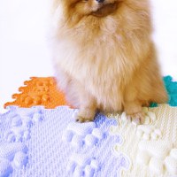 Covoras ortopedic, senzorial, set puzzle, 8 piese, model Lucky Paws, textura rigida, Multicolor - 1