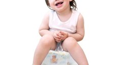Olita pliabila portabila pentru calatorie BabyJem Carton Travel Potty