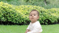 Set 20 rezerve pentru Olita Portable Seat