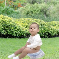 Set 20 rezerve pentru Olita Portable Seat - 1