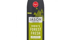 Deodorant Spray pentru Barbati Protectie 24h Forest Fresh Jason, 90g