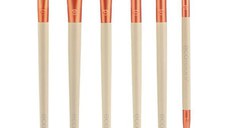 Kit 6 Pensule pentru Machiaj - EcoTools Elements Fiery Eyes Eye Makeup Brush Kit, 1 set