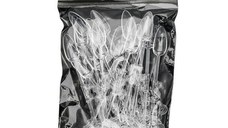 Paletar pentru nuanțe, oval 02, transparentă, 50 buc