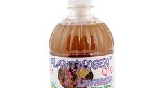 Planthigen Lavanda Hofigal, 500ml